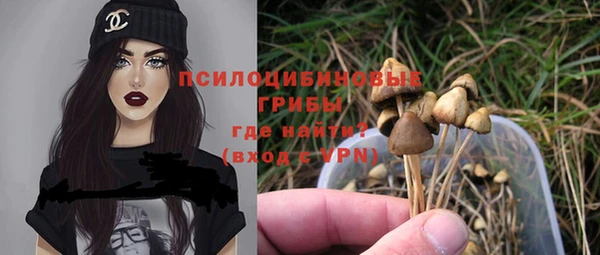 каннабис Болотное