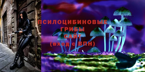меф Надым