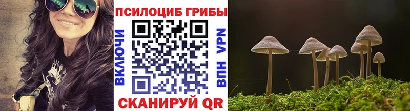 Галлюциногенные грибы Magic Shrooms  Ревда 
