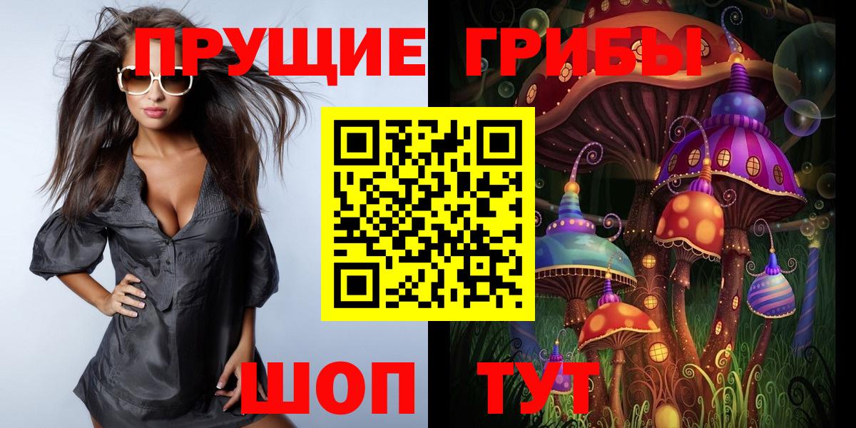 Псилоцибиновые грибы Psilocybe  Вход с VPN  Ревда 