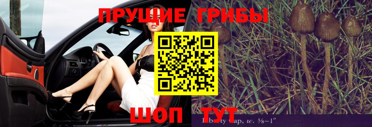 Псилоцибиновые грибы мухоморы  Ревда 